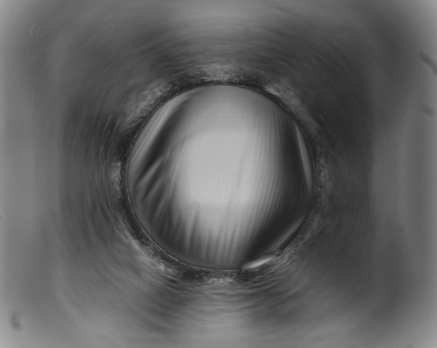 X0000099460066200805231816