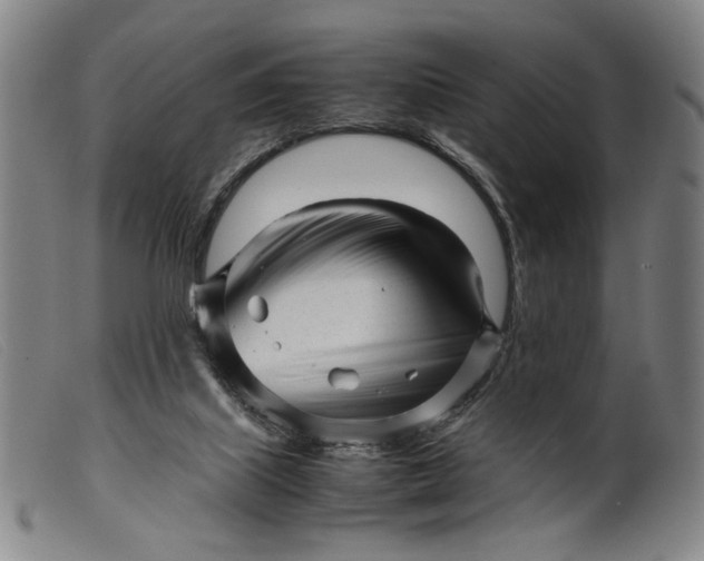 X0000099460067200805231816