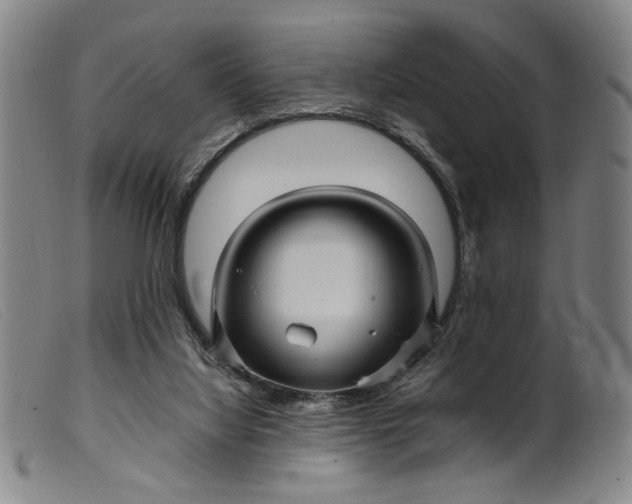 X0000099460068200805231816