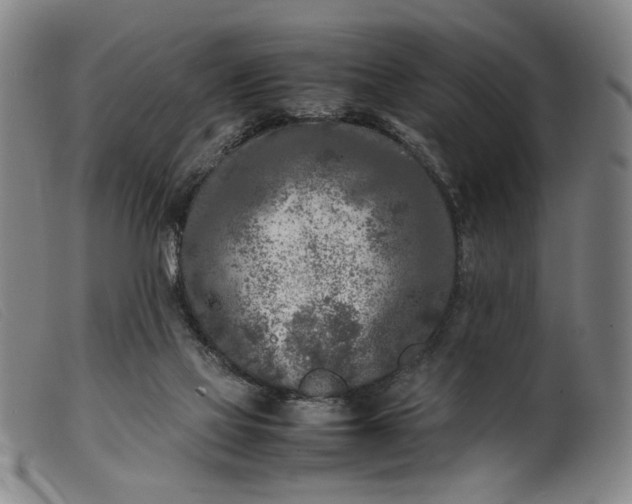 X0000099460069200805231816