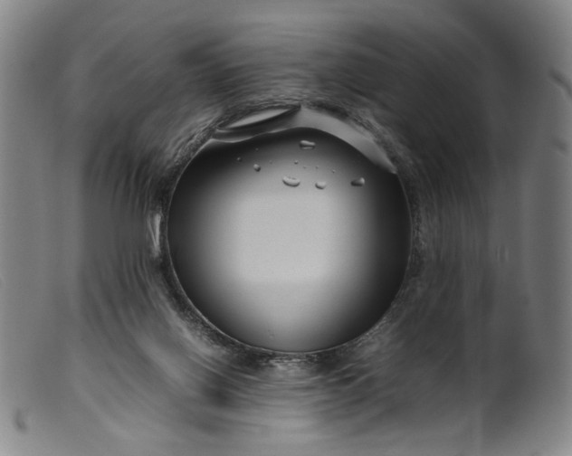 X0000099460070200805231816