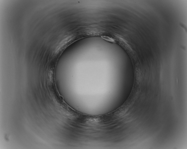 X0000099460071200805231816