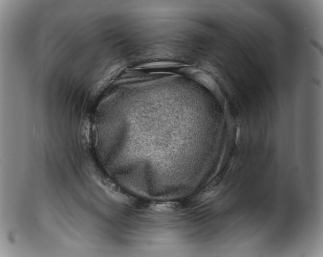 X0000099460072200805231816