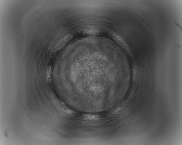 X0000099460073200805231816