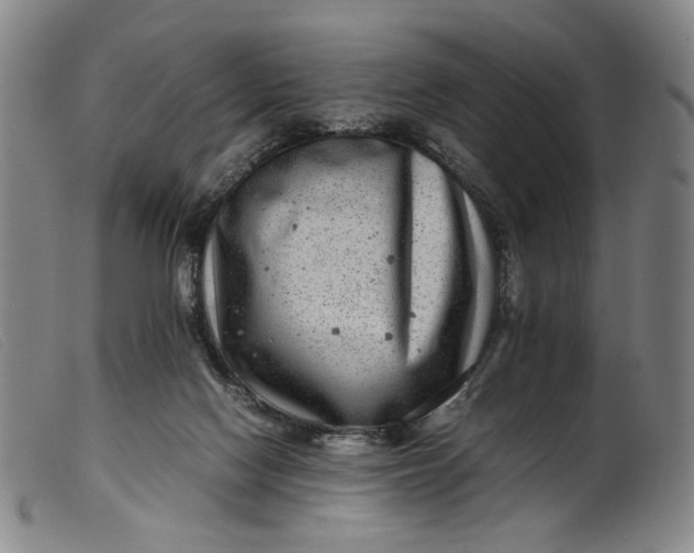 X0000099460074200805231816