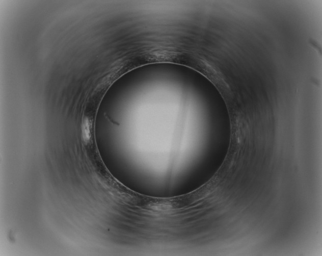 X0000099460075200805231816