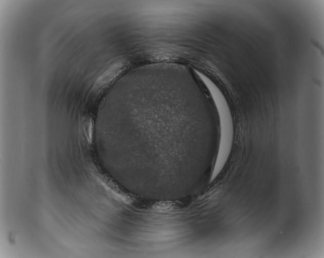 X0000099460076200805231816