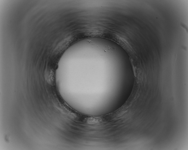 X0000099460077200805231816