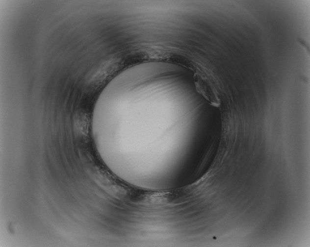 X0000099460078200805231816