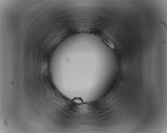 X0000099460079200805231816