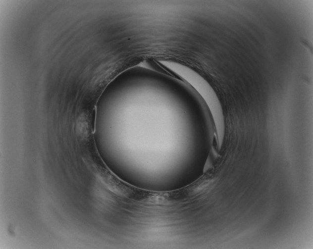 X0000099460080200805231816