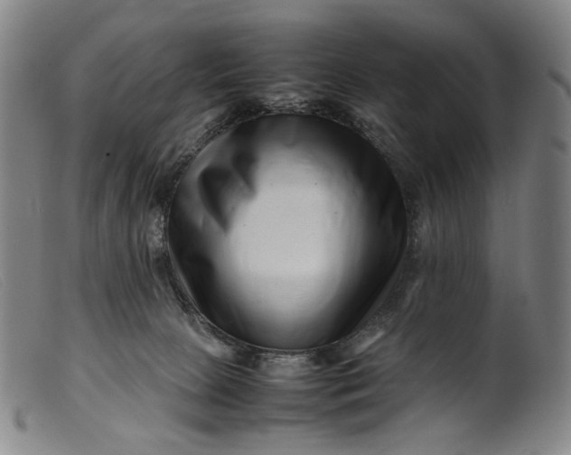 X0000099460081200805231816