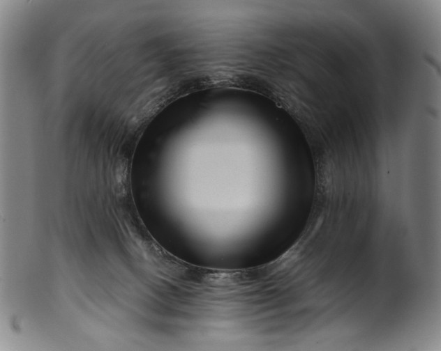 X0000099460082200805231816