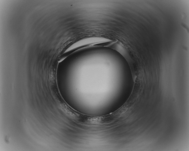 X0000099460084200805231816