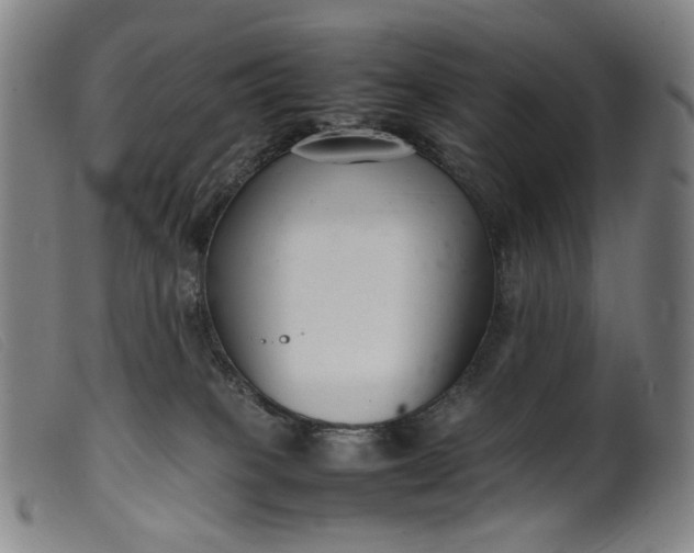 X0000099460085200805231816