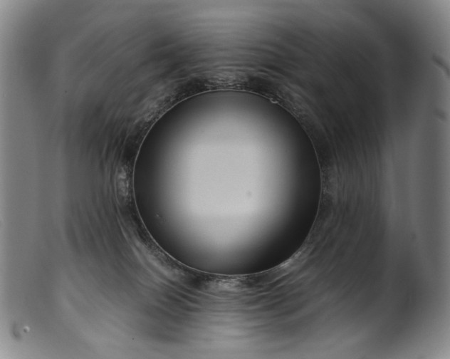 X0000099460086200805231816