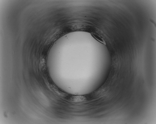 X0000099460087200805231816