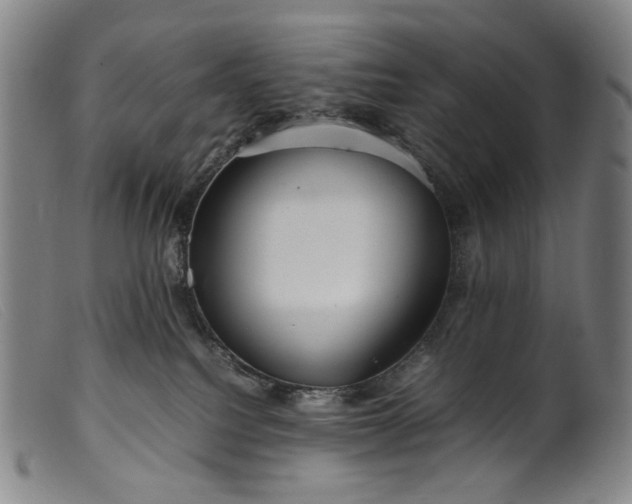 X0000099460088200805231816