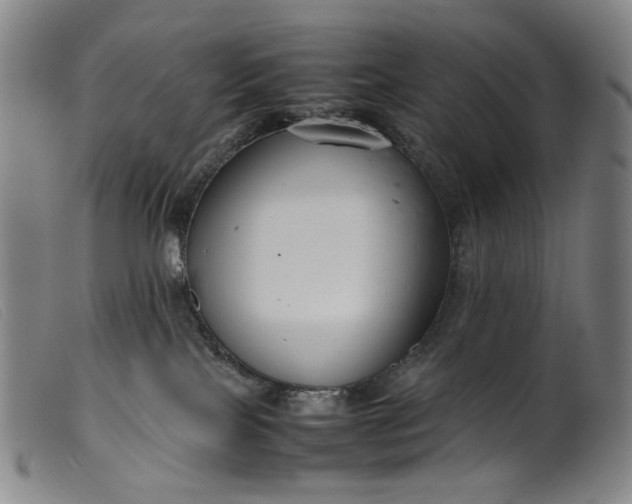 X0000099460089200805231816