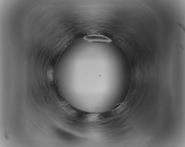 X0000099460090200805231816