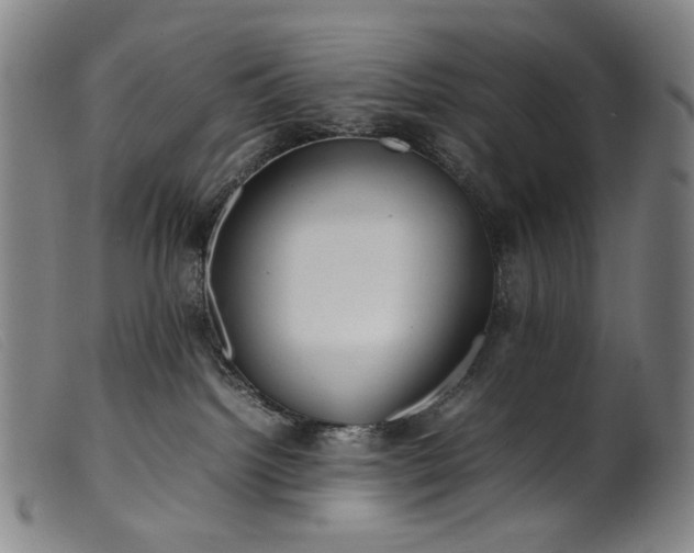 X0000099460092200805231816