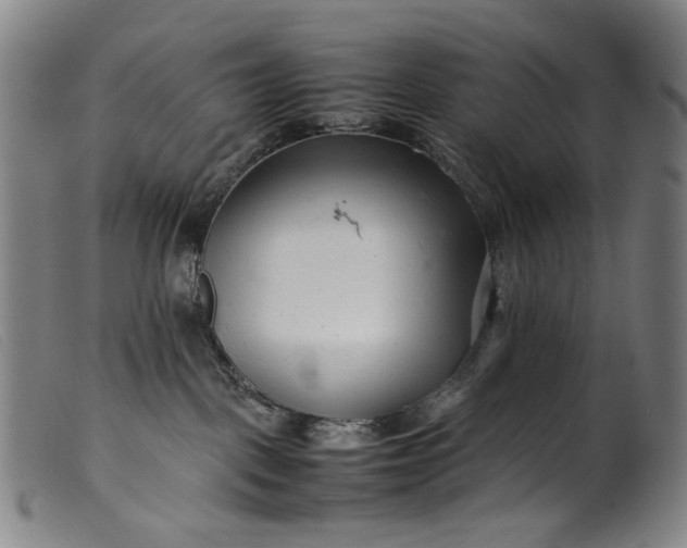 X0000099460093200805231816