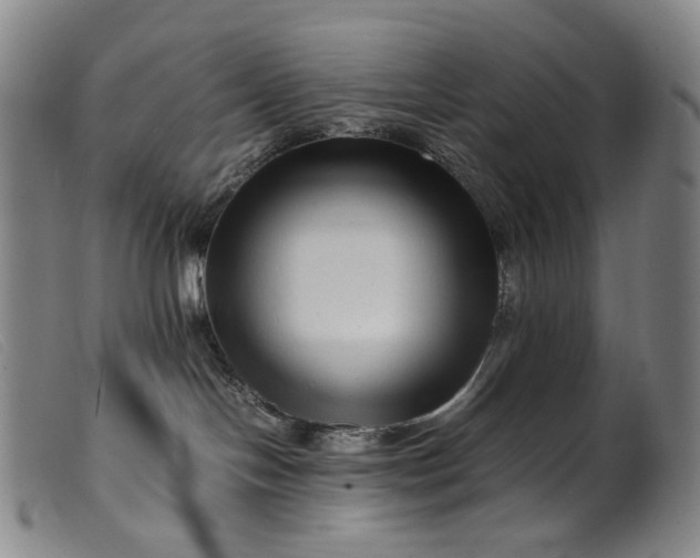 X0000099460094200805231817