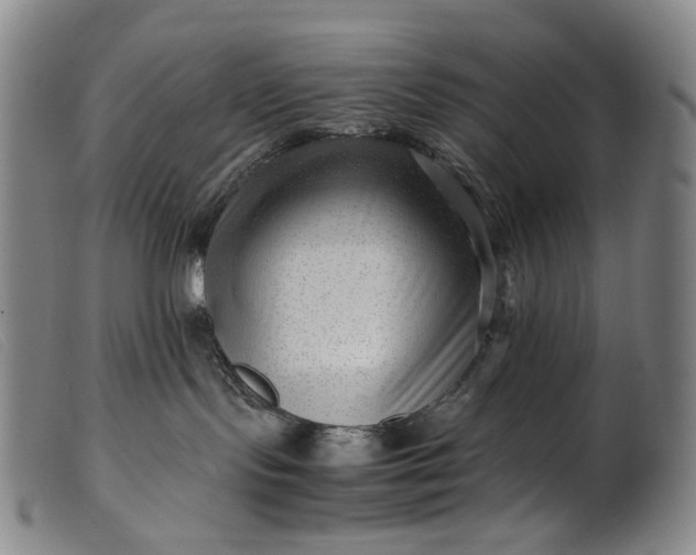 X0000099460095200805231817