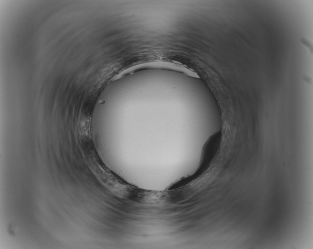 X0000099460096200805231817