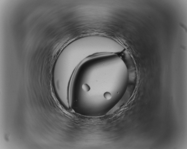 X0000099460097200805231816