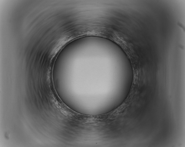 X0000099460098200805231816