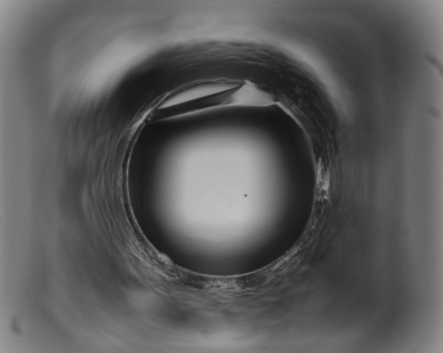 X0000099460099200805231816