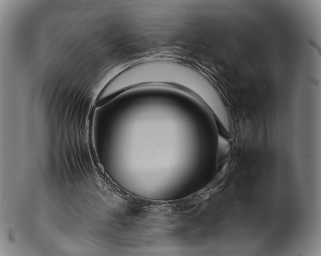 X0000099460100200805231816