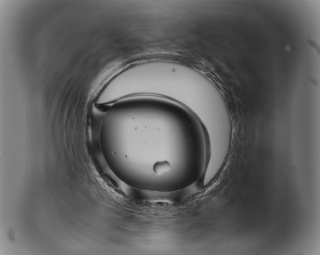 X0000099460101200805231816