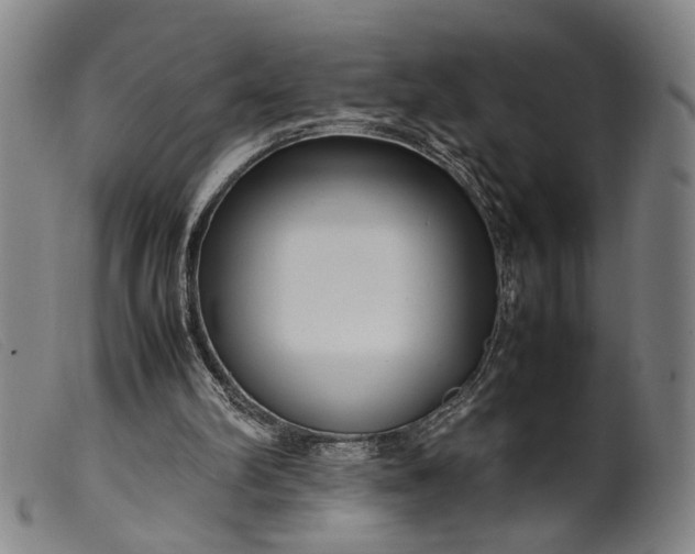 X0000099460102200805231816