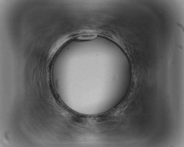 X0000099460103200805231816