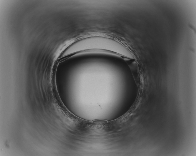 X0000099460104200805231816