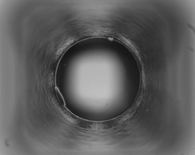 X0000099460105200805231816