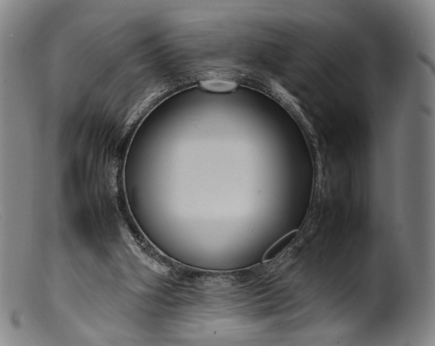 X0000099460106200805231816