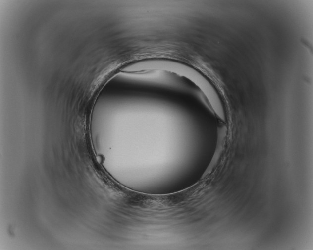 X0000099460107200805231816