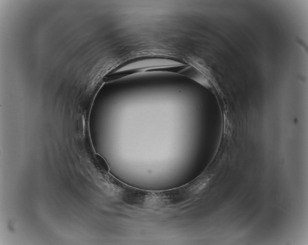 X0000099460109200805231816