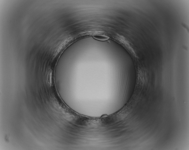 X0000099460110200805231816