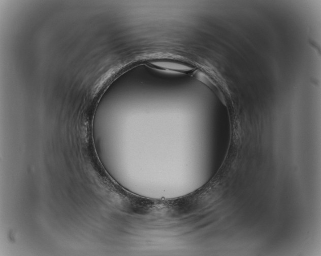 X0000099460111200805231816