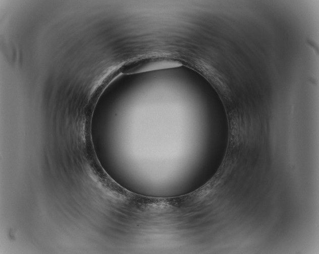 X0000099460112200805231816