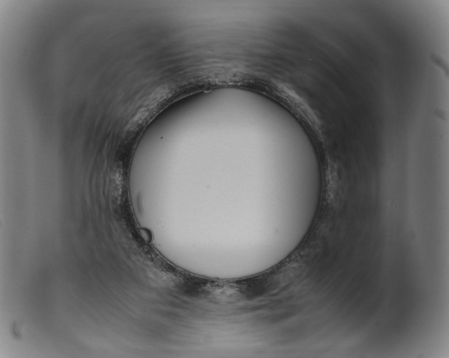 X0000099460113200805231816