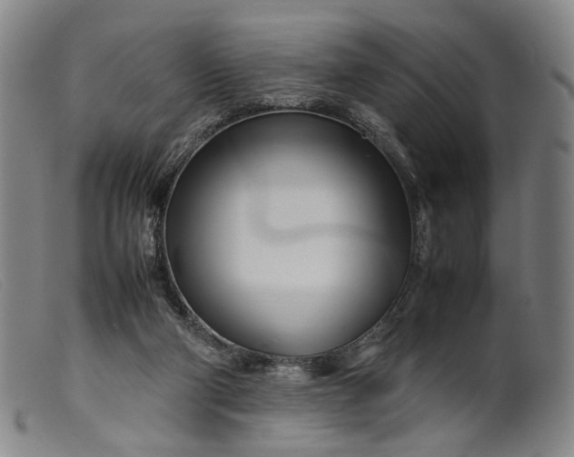 X0000099460114200805231816