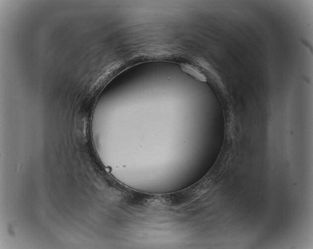 X0000099460115200805231816