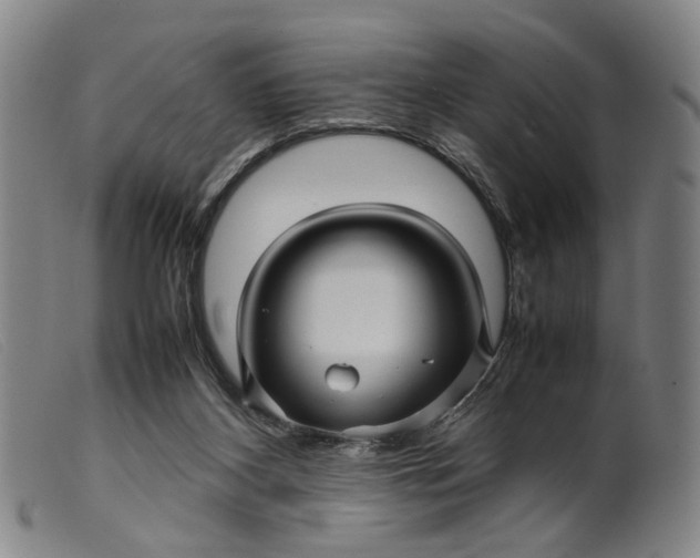 X0000099460116200805231815