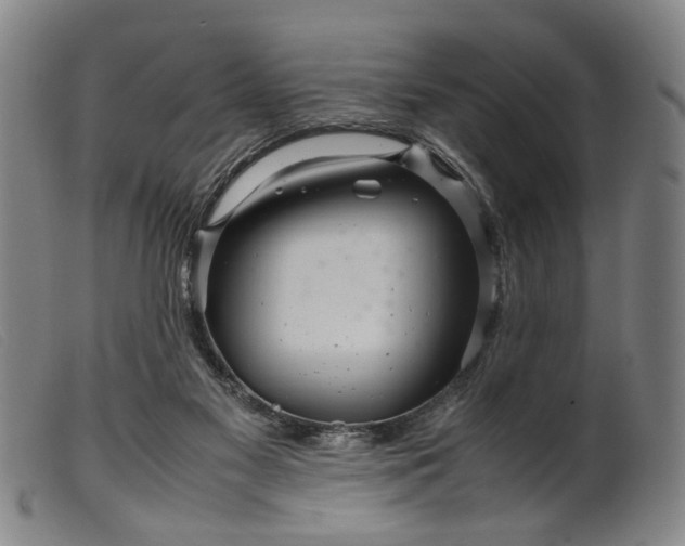 X0000099460117200805231815