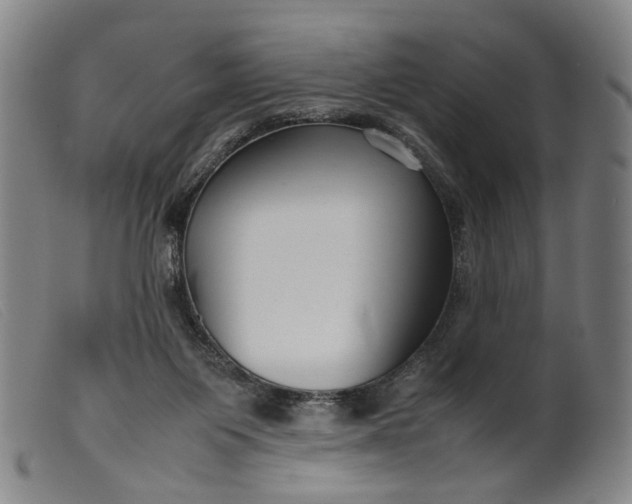 X0000099460119200805231815